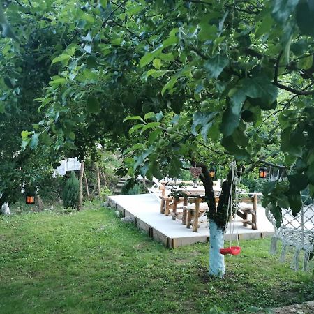 فندق Casa Noastra Orşova المظهر الخارجي الصورة