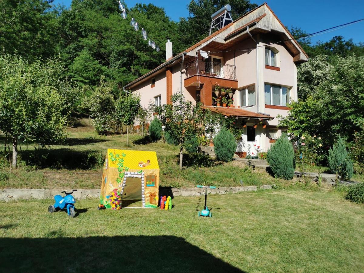 فندق Casa Noastra Orşova المظهر الخارجي الصورة