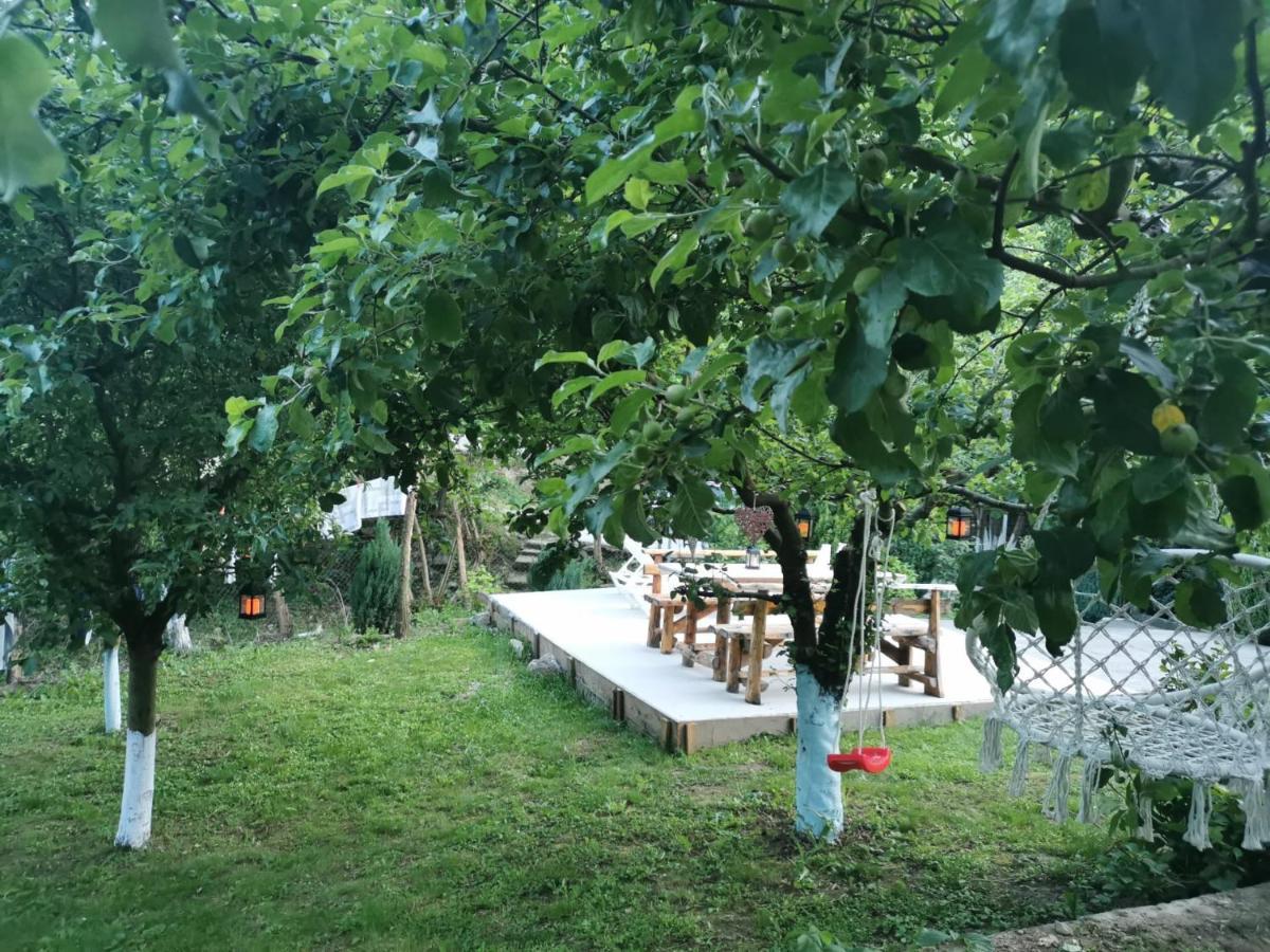 فندق Casa Noastra Orşova المظهر الخارجي الصورة