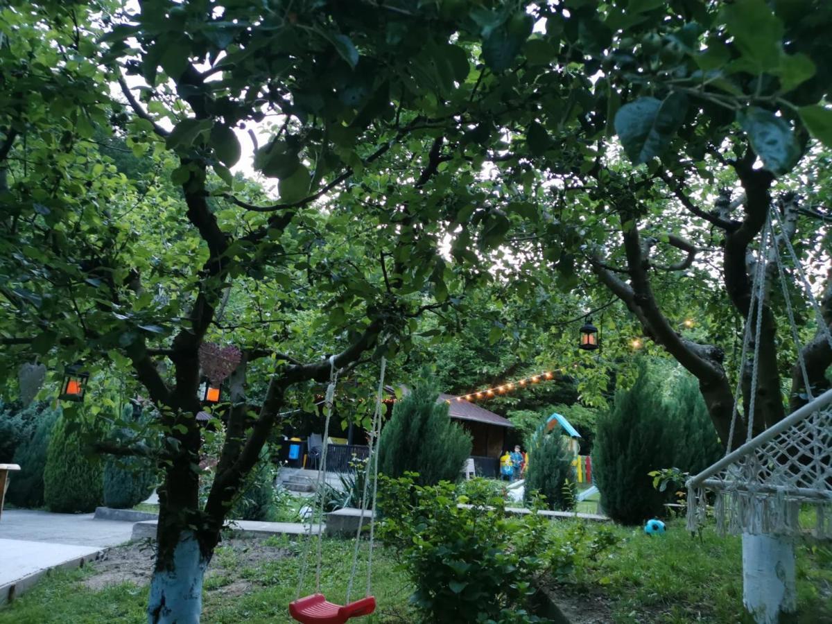 فندق Casa Noastra Orşova المظهر الخارجي الصورة